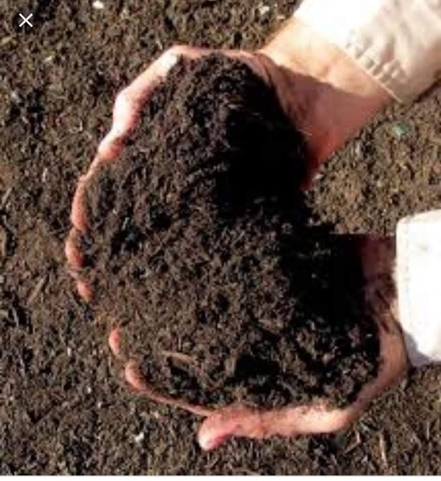 Bio-Enriched Cow Dung Manure