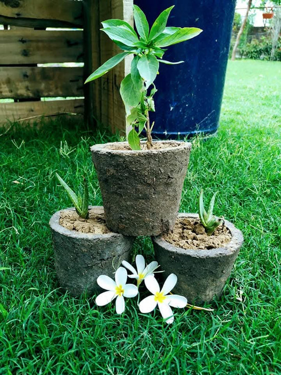 Cow Dung Flower Pots