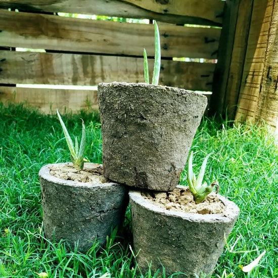 Cow Dung Flower Pots