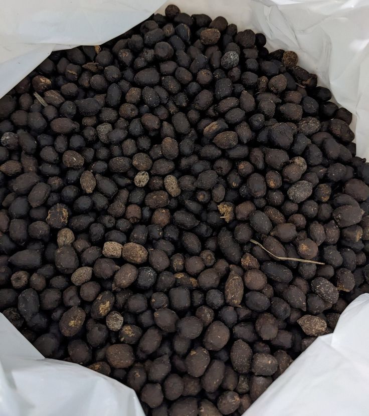Goat Manure