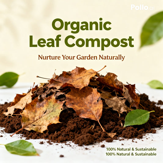 Organic Leaf Compost